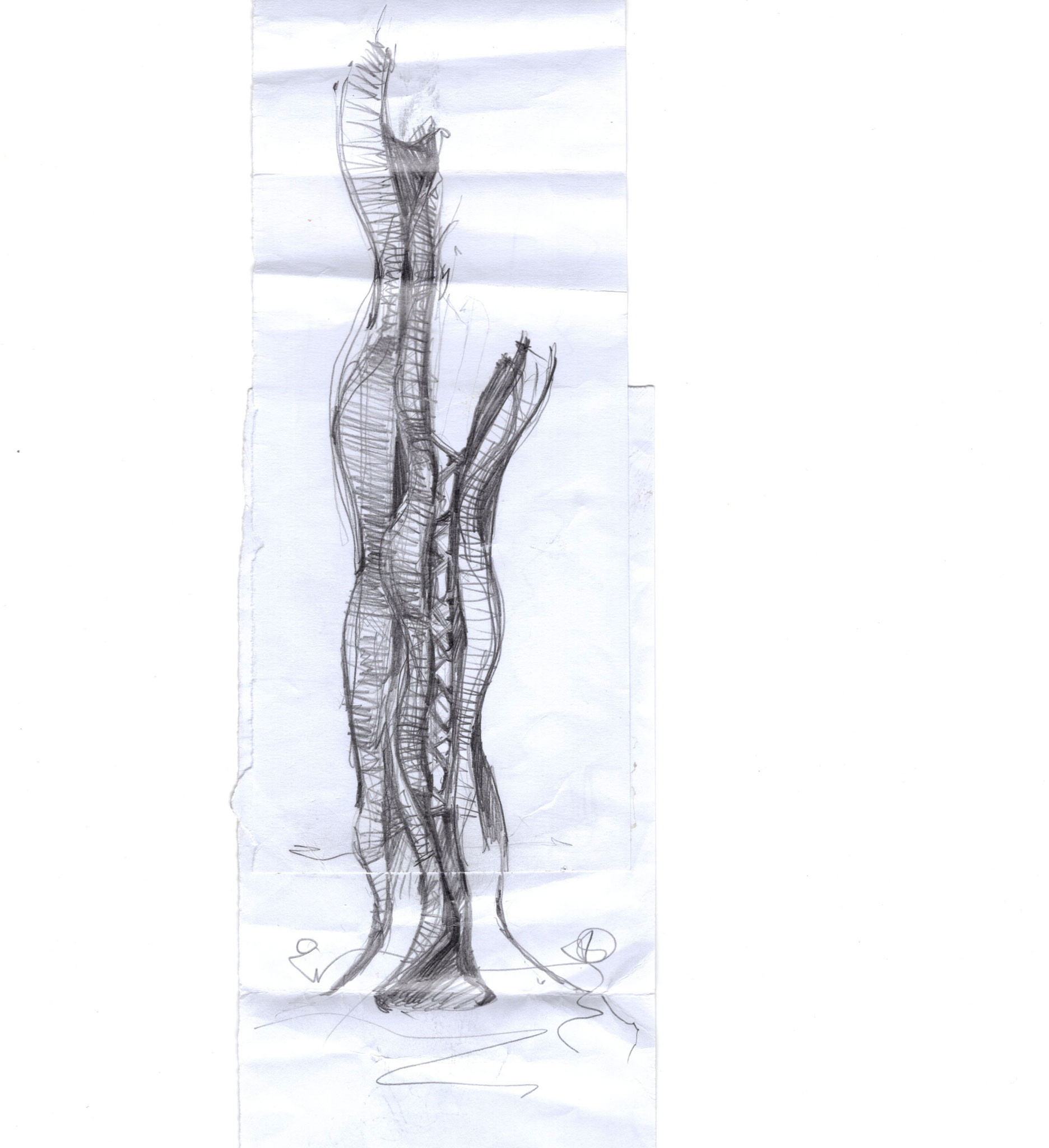 The Architect’s Hand