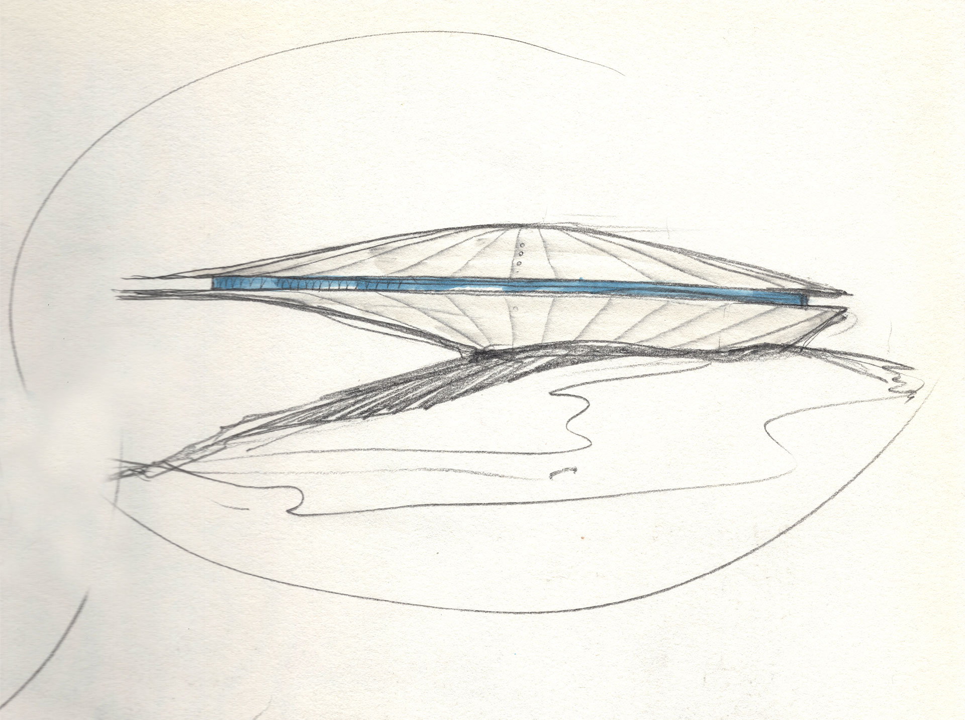 The Architect’s Hand